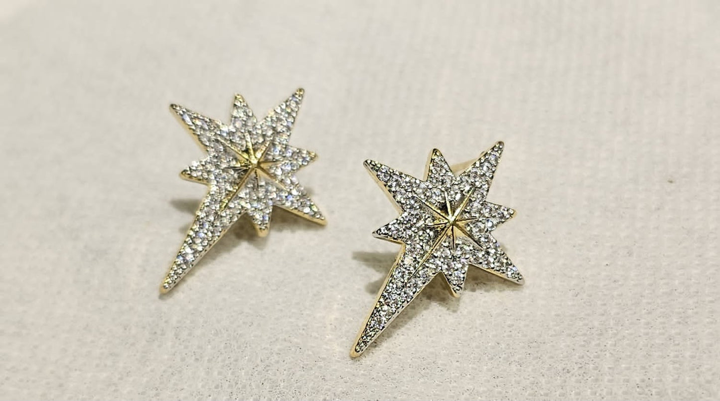 Earring B16