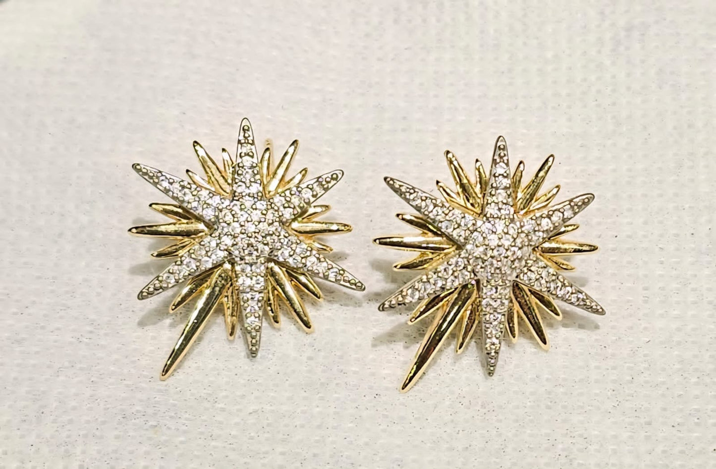 Earring B17