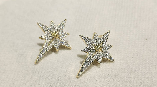 Earring B16