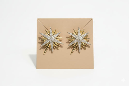 Earring B17