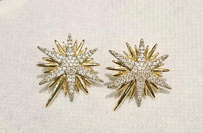 Earring B17