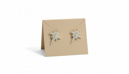 Earring B16