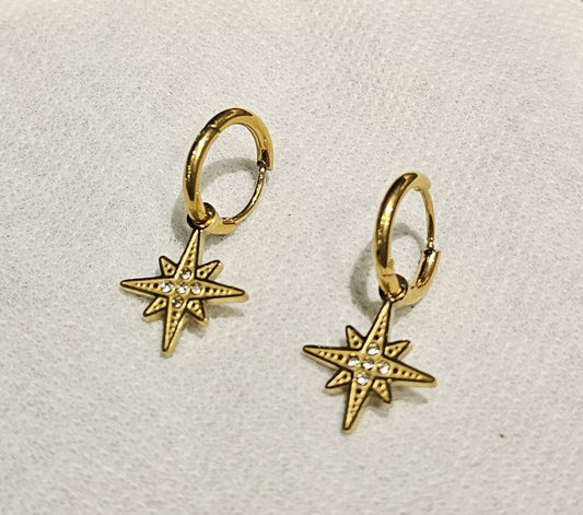 Earring B12