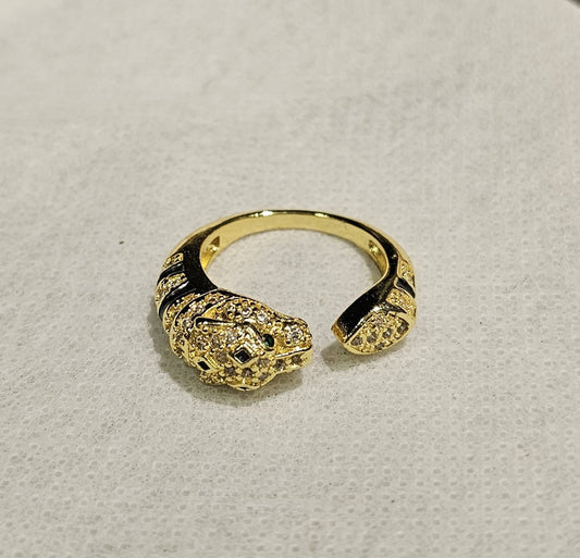 Ring B1